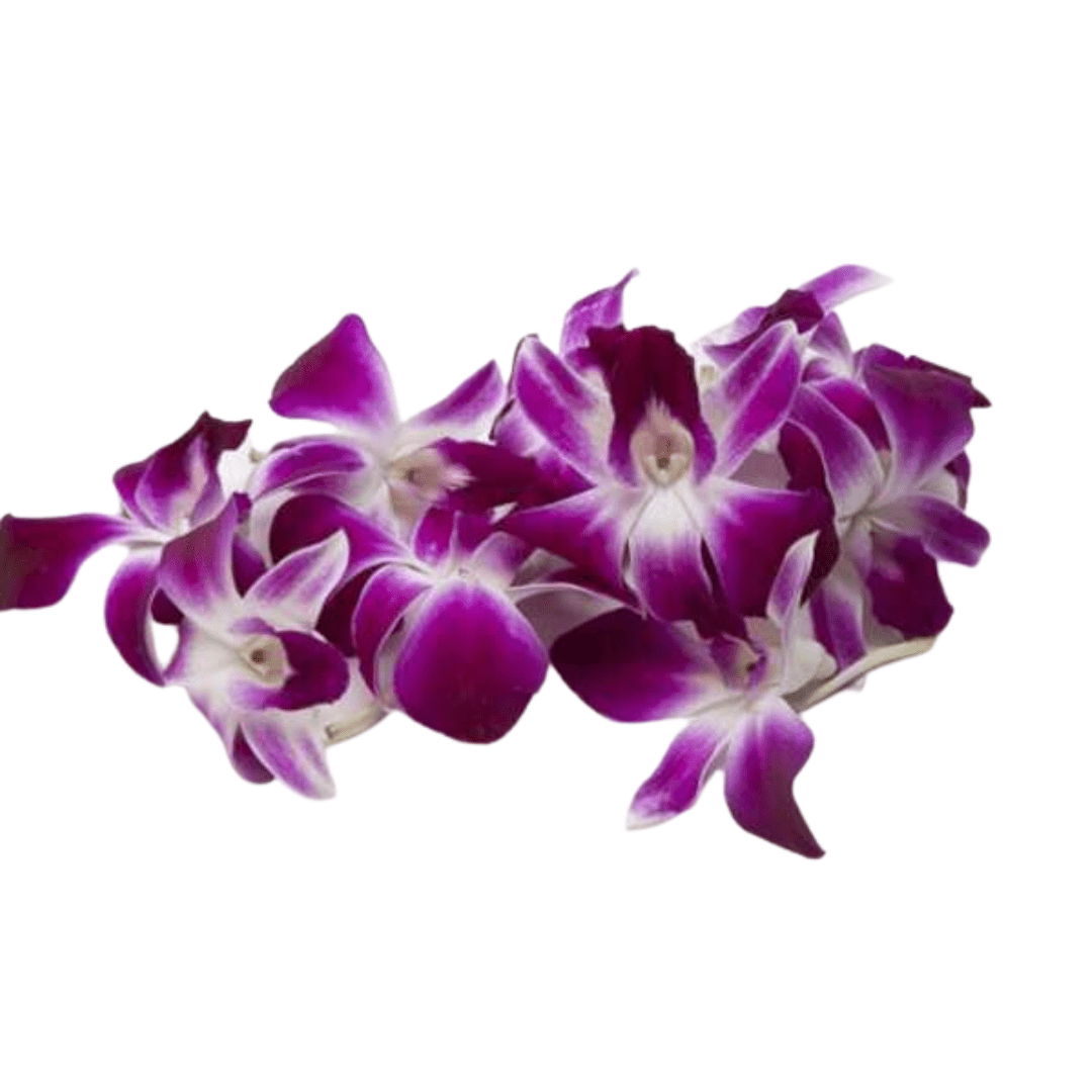 Ætiblóm Orkideu 30 g