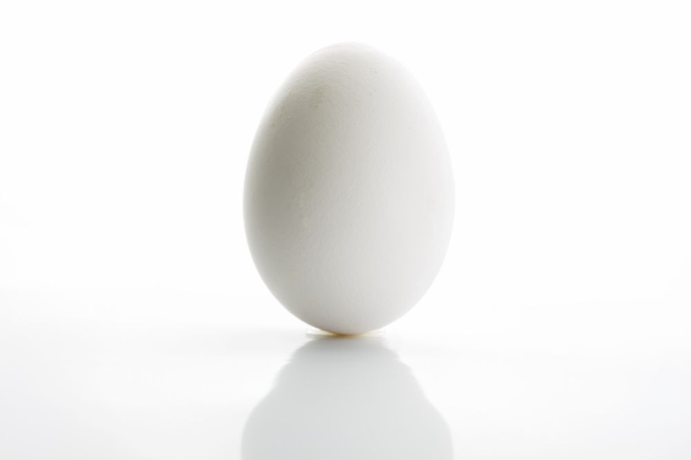 Egg 60 stk/ks